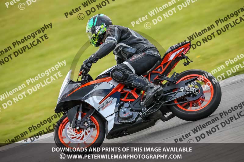 PJ Motorsport Photography 2020;donington no limits trackday;donington park photographs;donington trackday photographs;no limits trackdays;peter wileman photography;trackday digital images;trackday photos